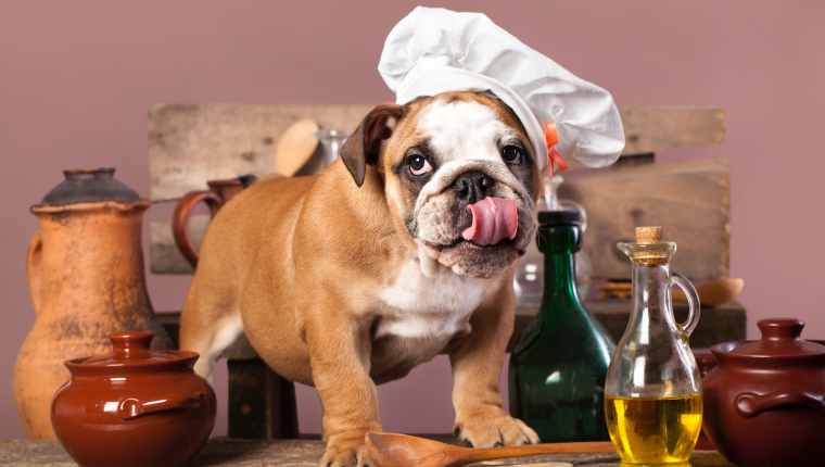 Can dogs eat olive oil