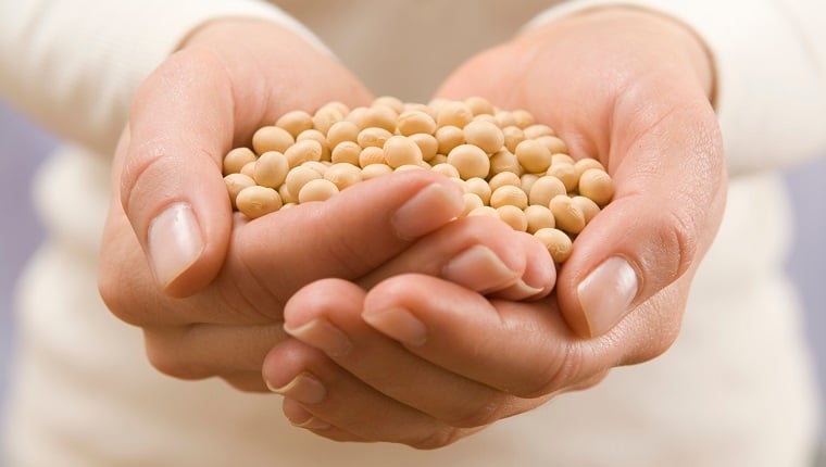 Woman holding soybeans, close-up