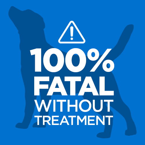 Rabies: 100% fatal without treatment